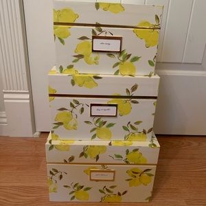 Late Spade Lemon Nesting Boxes set of 3